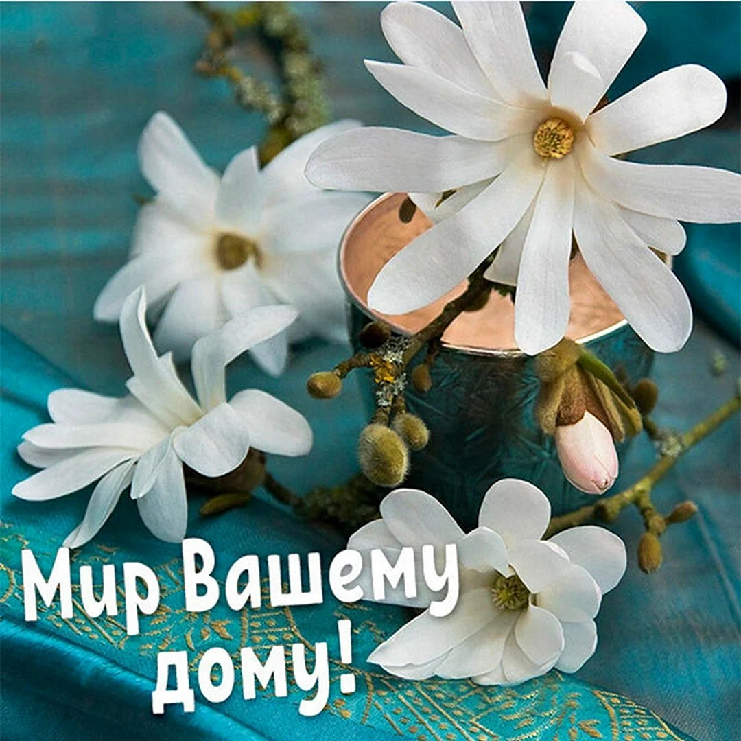 Мир вашему дому