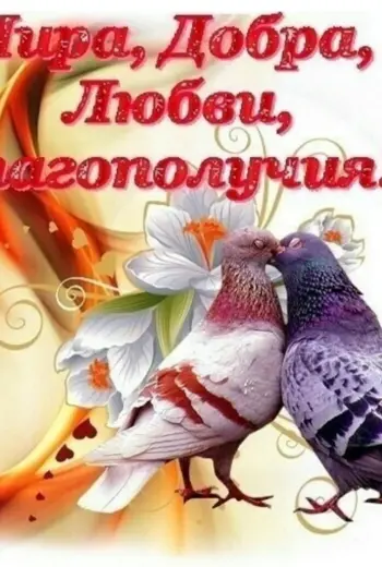 Мира добра и благополучия