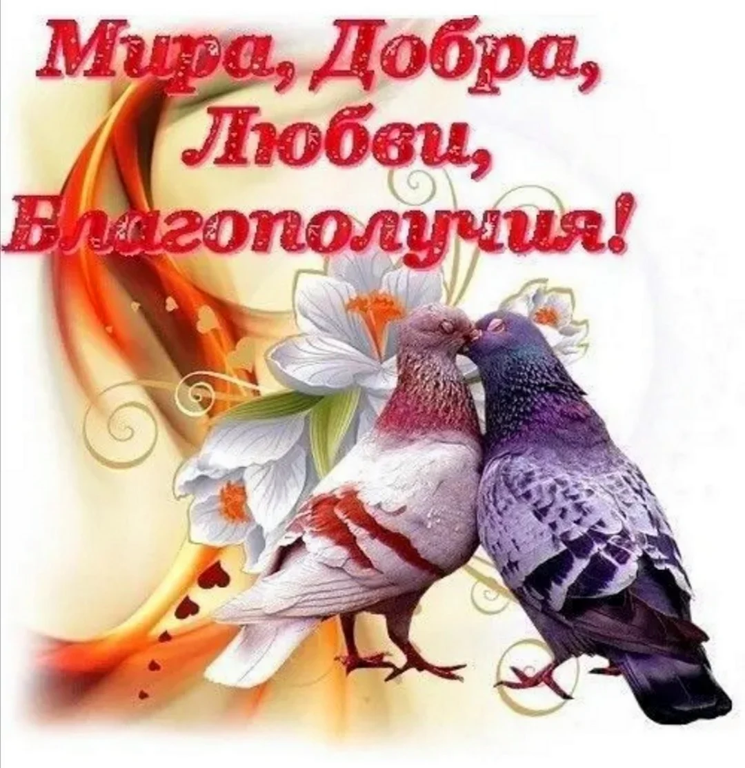 Мира добра и благополучия
