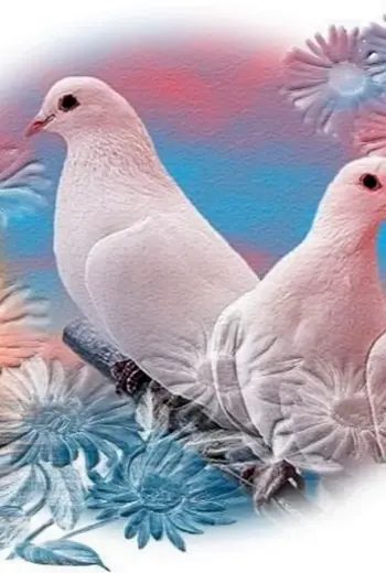 Мира и добра