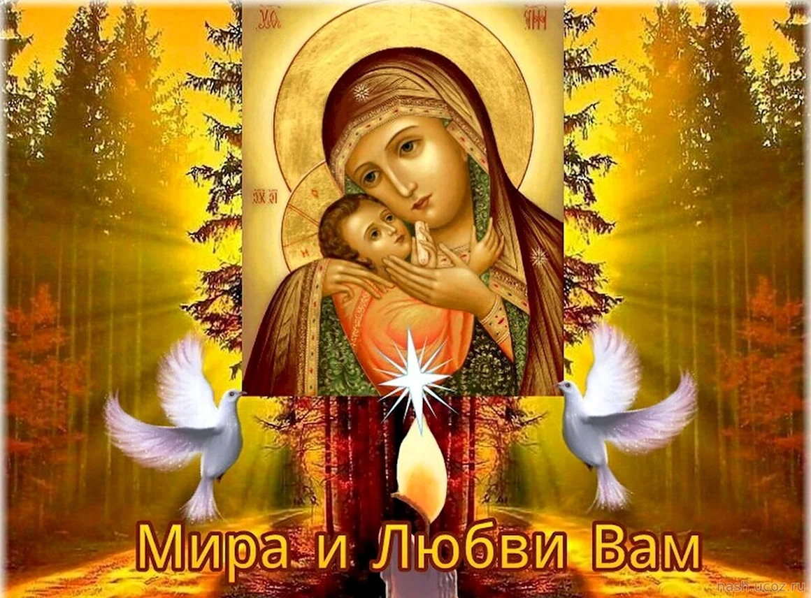 Мира вам любви и добра