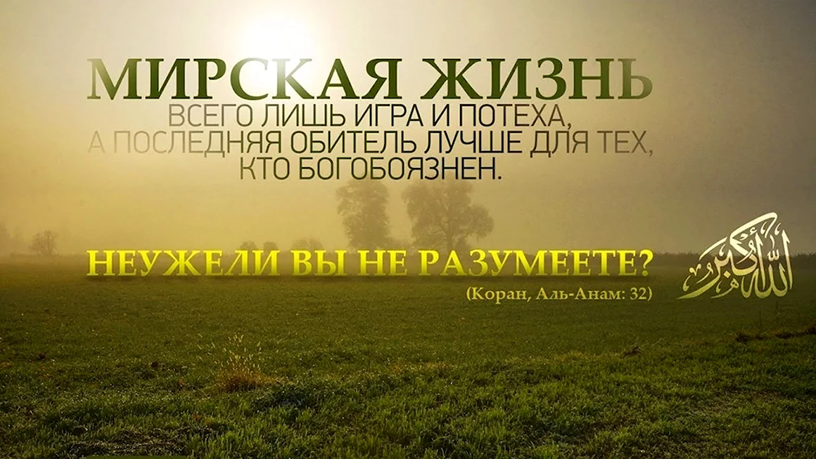Мирская жизнь в Исламе