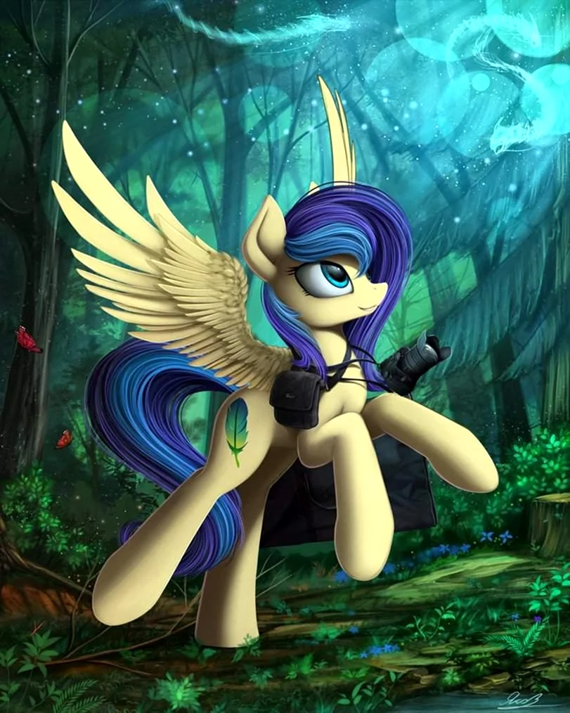 MLP Yakovlev vad