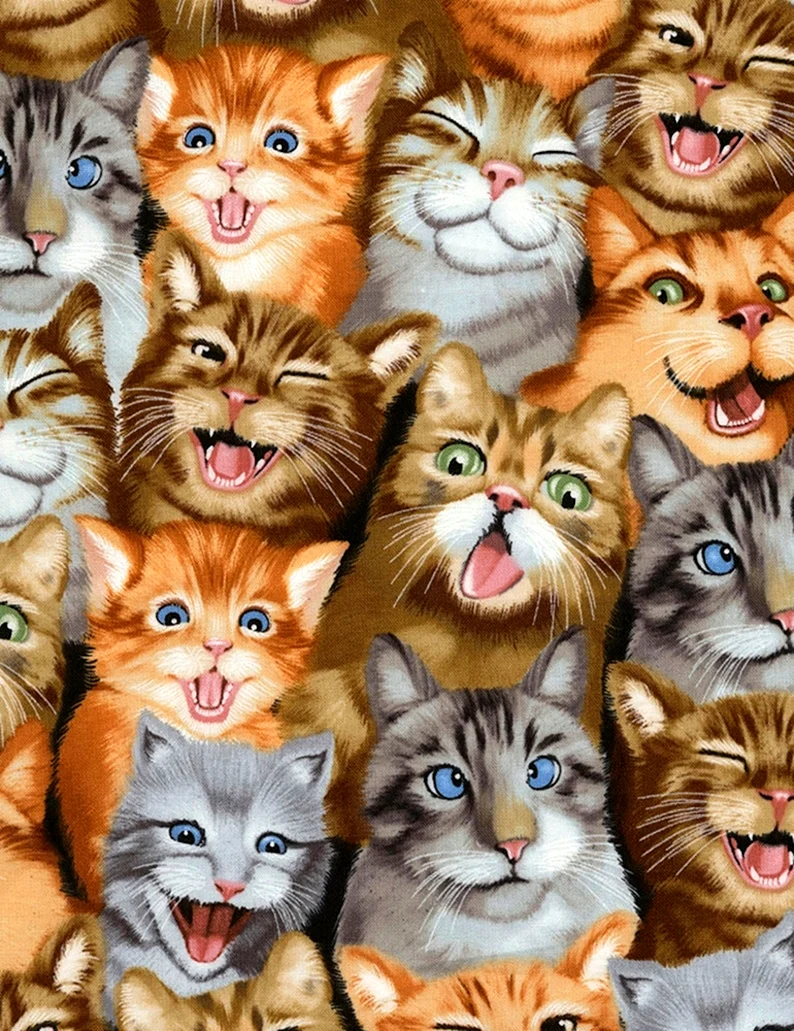 Много кошек