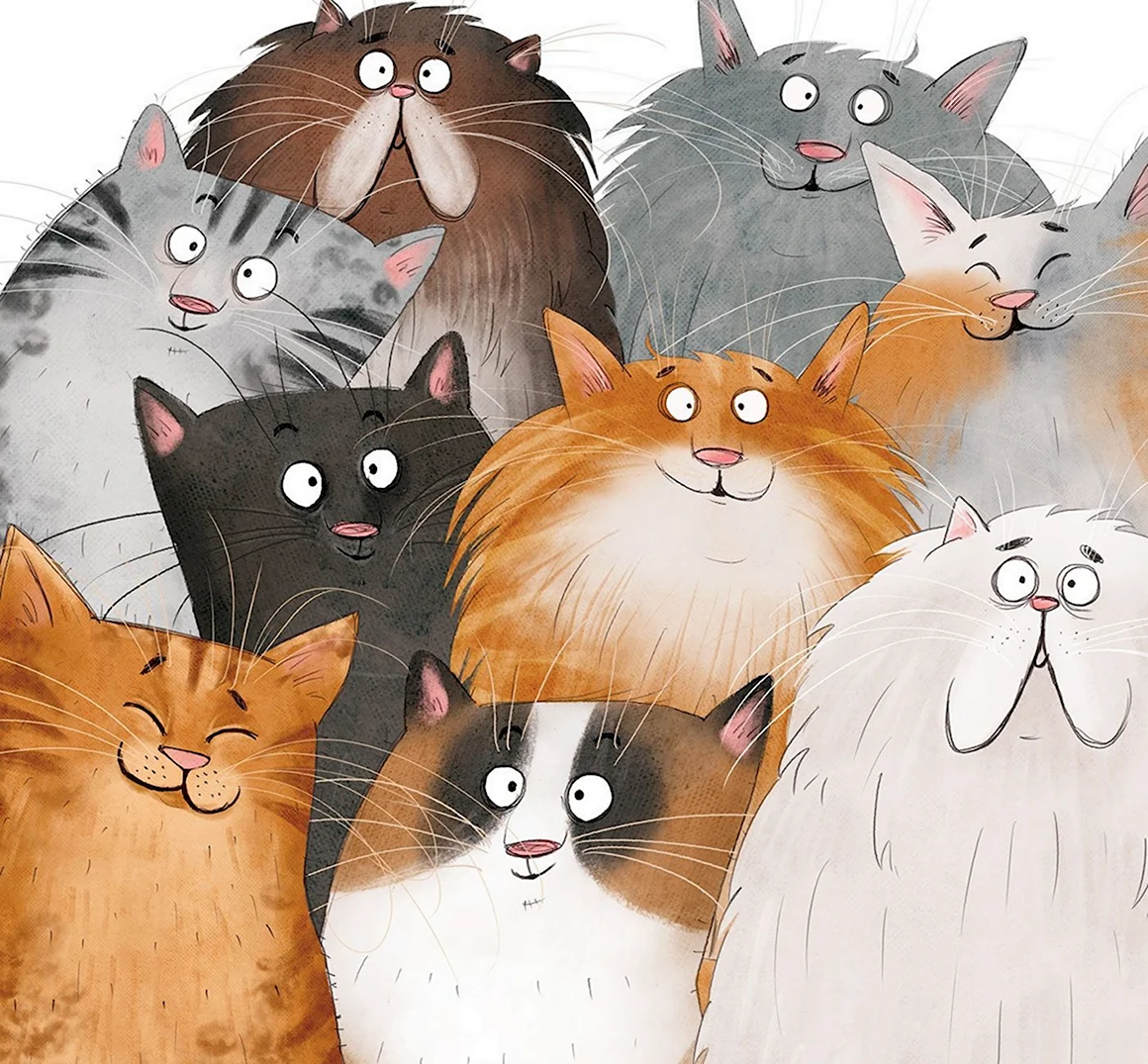 Много котов