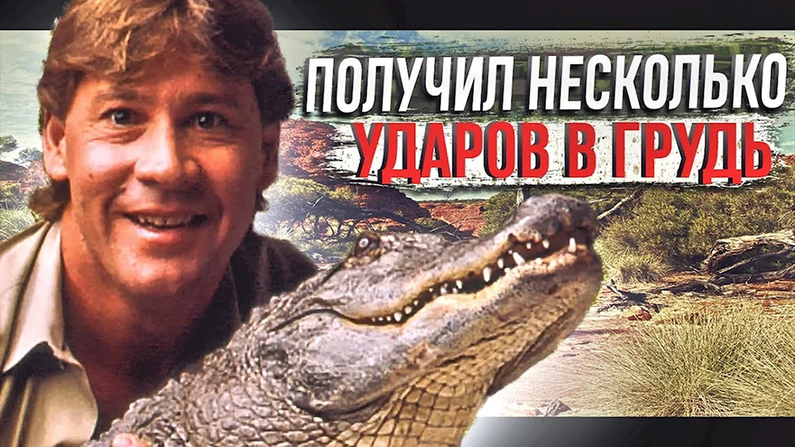Мой домашний крокодил фильм
