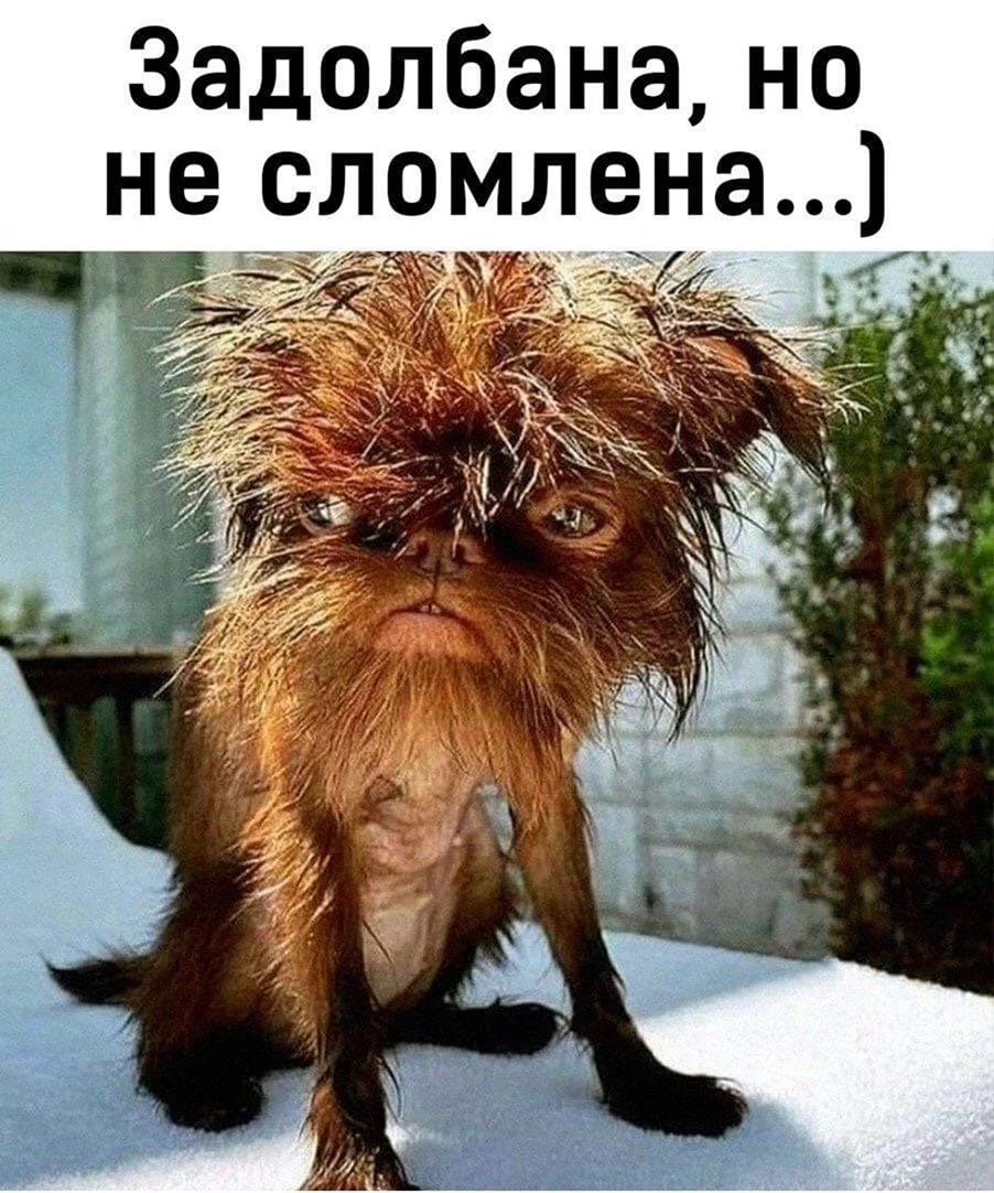 Мояе состояние после работы