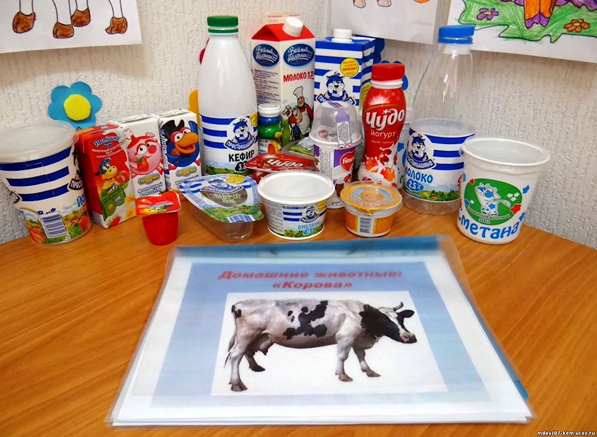 Молочные продукты для детского сада