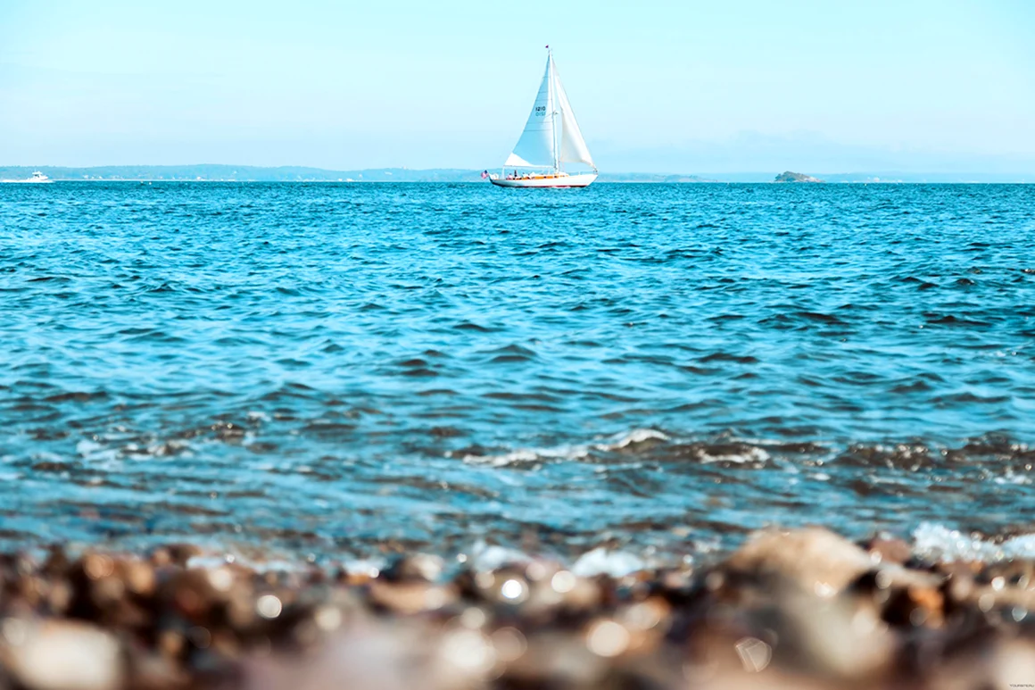 Море