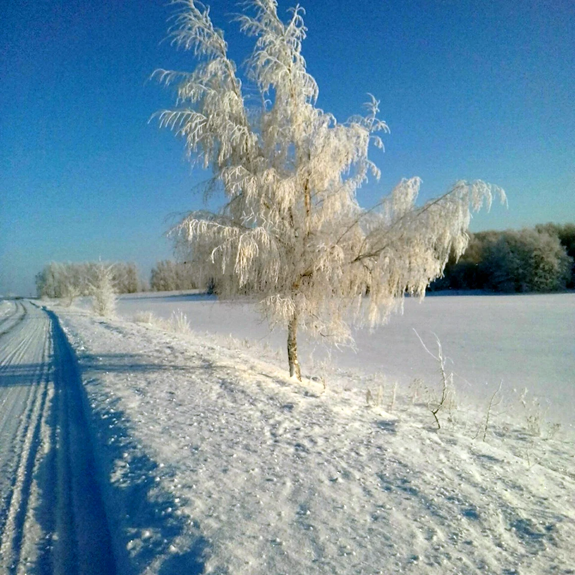 Мороз и солнце в Новосибирске