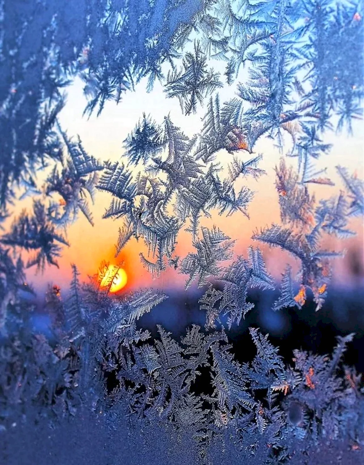 Морозное окно