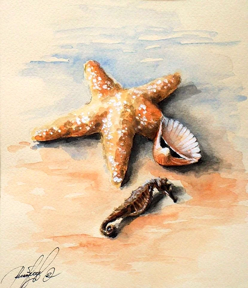 Морская звезда акварель