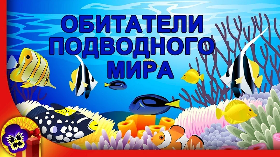 Морские обитатели надпись
