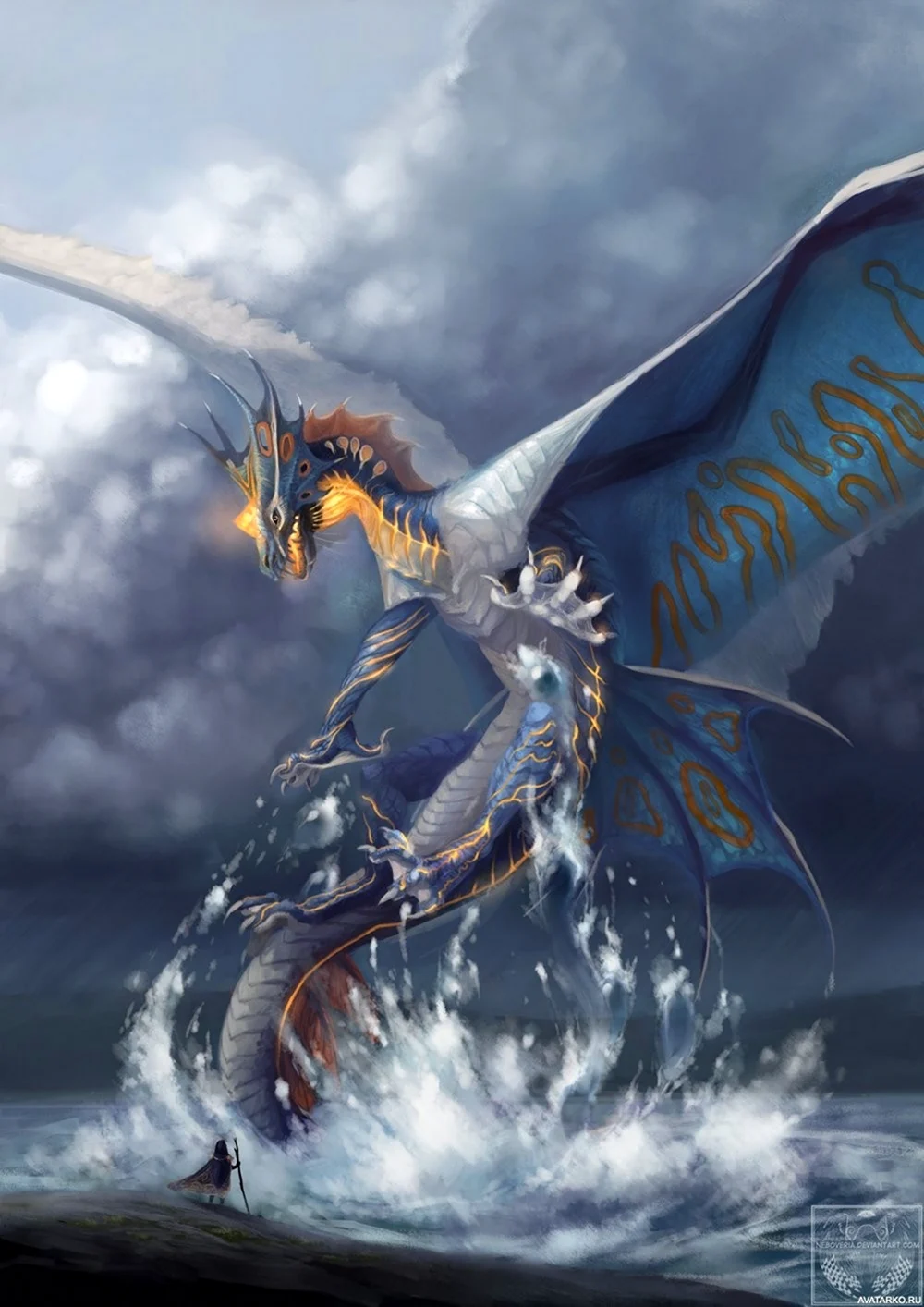 Морской дракон Draco Marinus