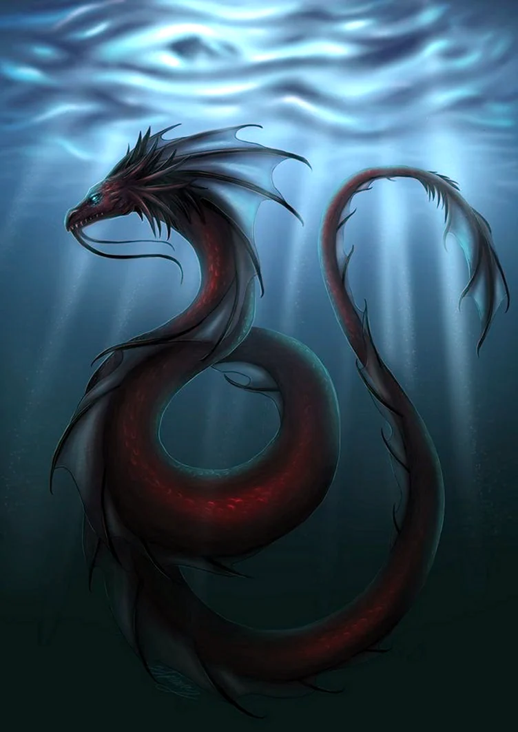 Морской дракон Draco Marinus