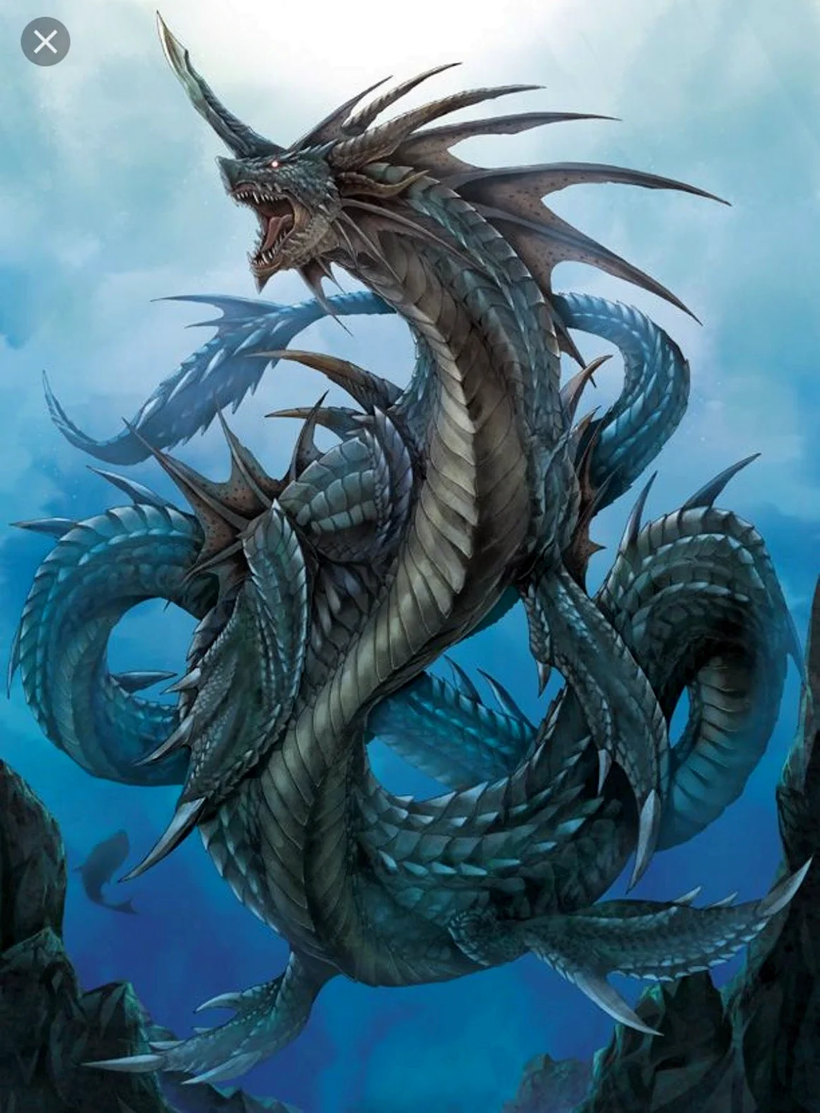 Морской дракон Draco Marinus
