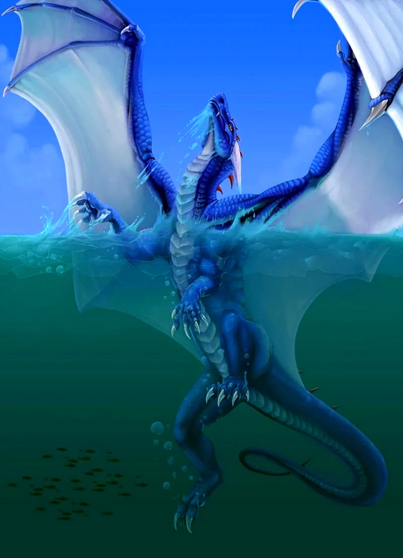 Морской дракон Draco Marinus