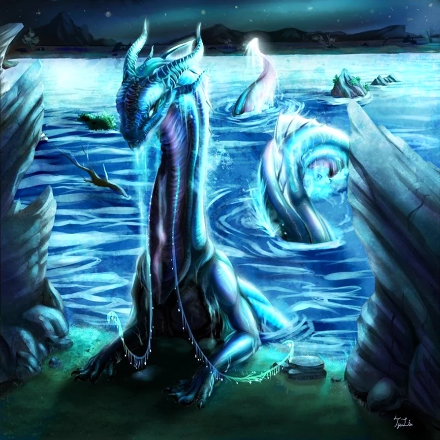 Морской дракон Draco Marinus