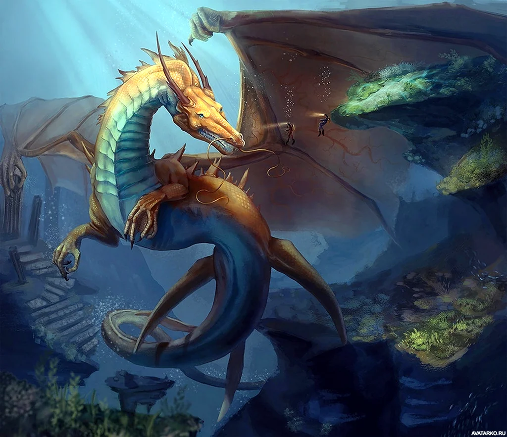 Морской дракон Draco Marinus