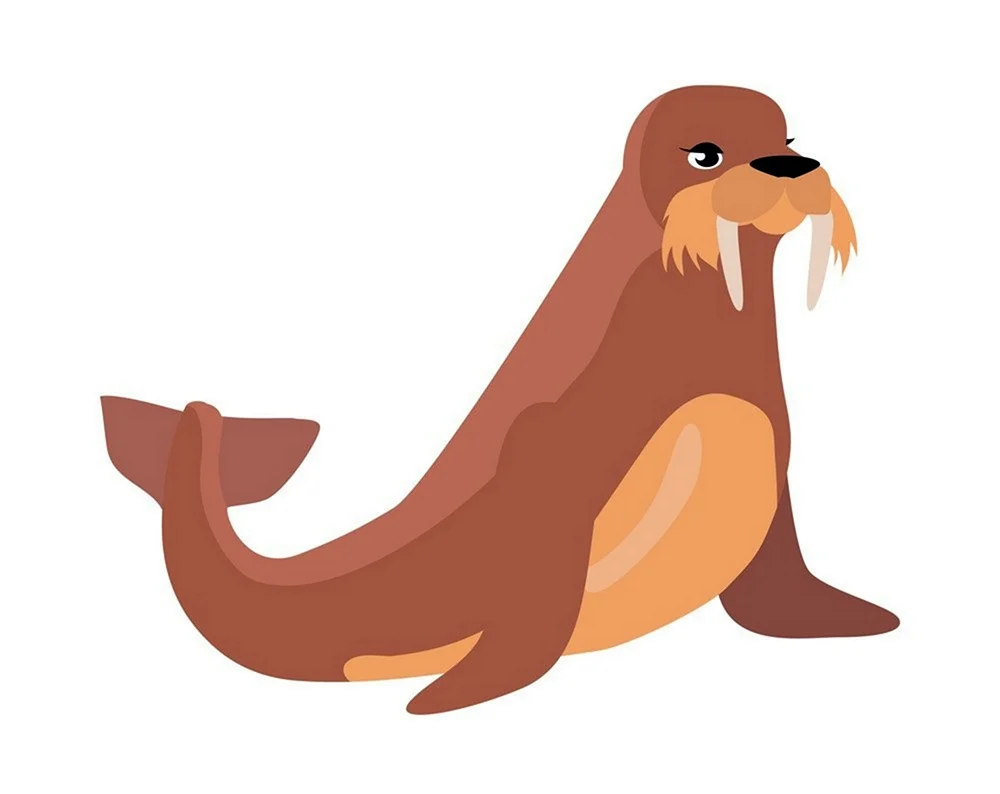 Морж cartoon