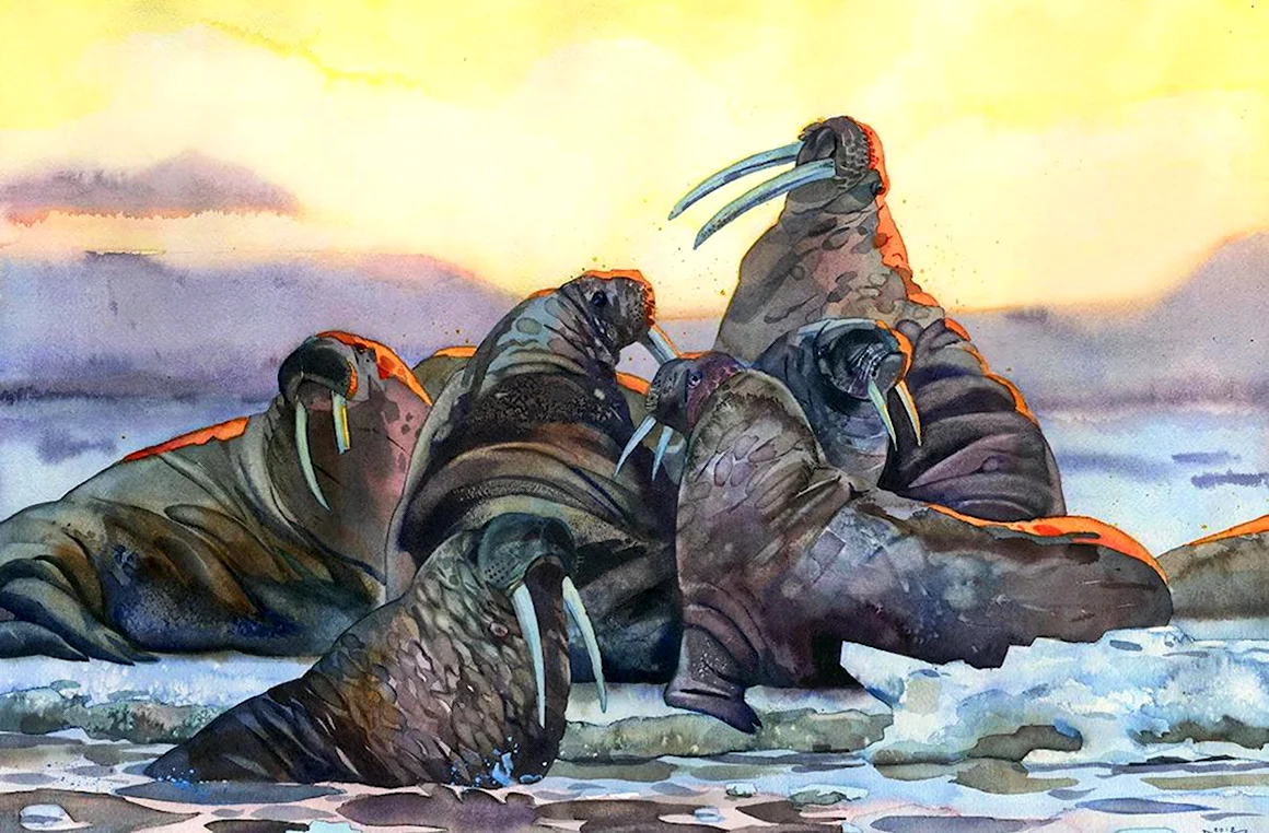 Морж живопись