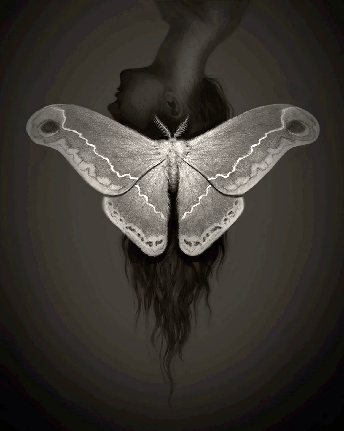 Мотылек Moth Art
