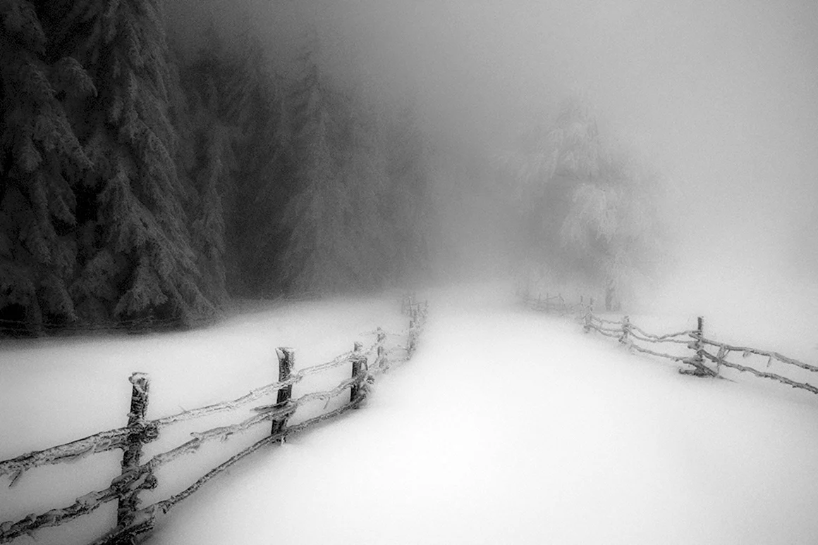 Мрачный зимний пейзаж