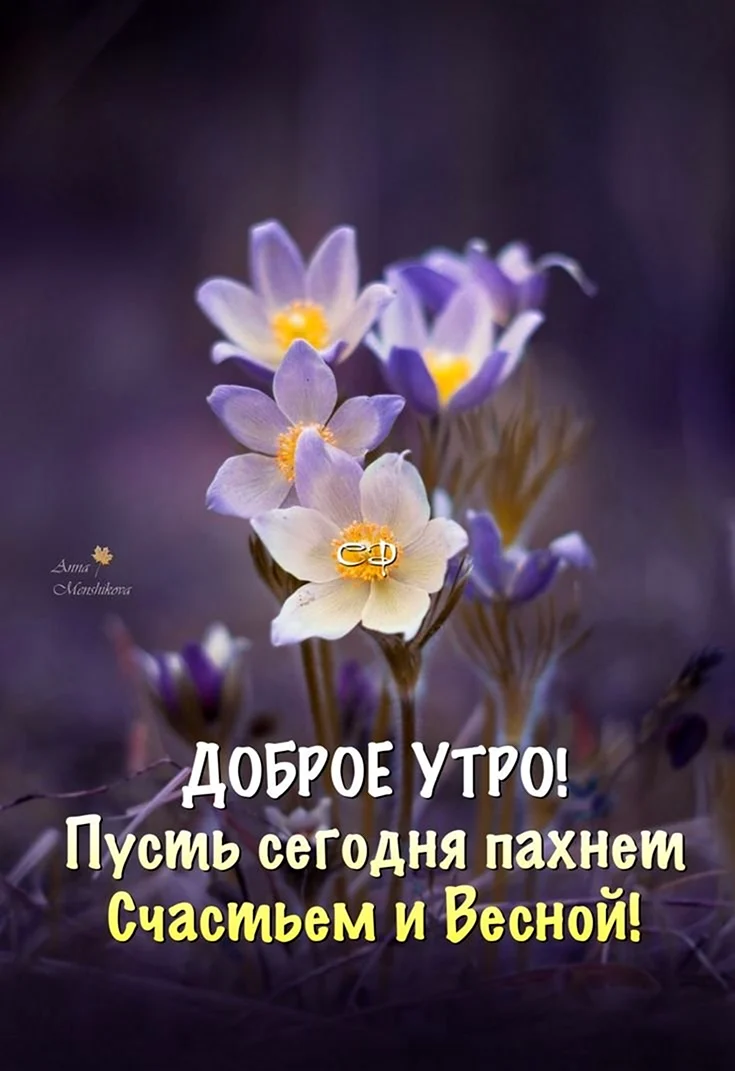 Мудрые высказывания с добрым утром