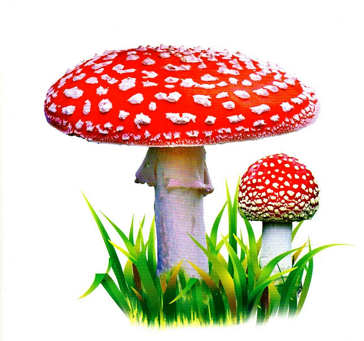 Мухомор