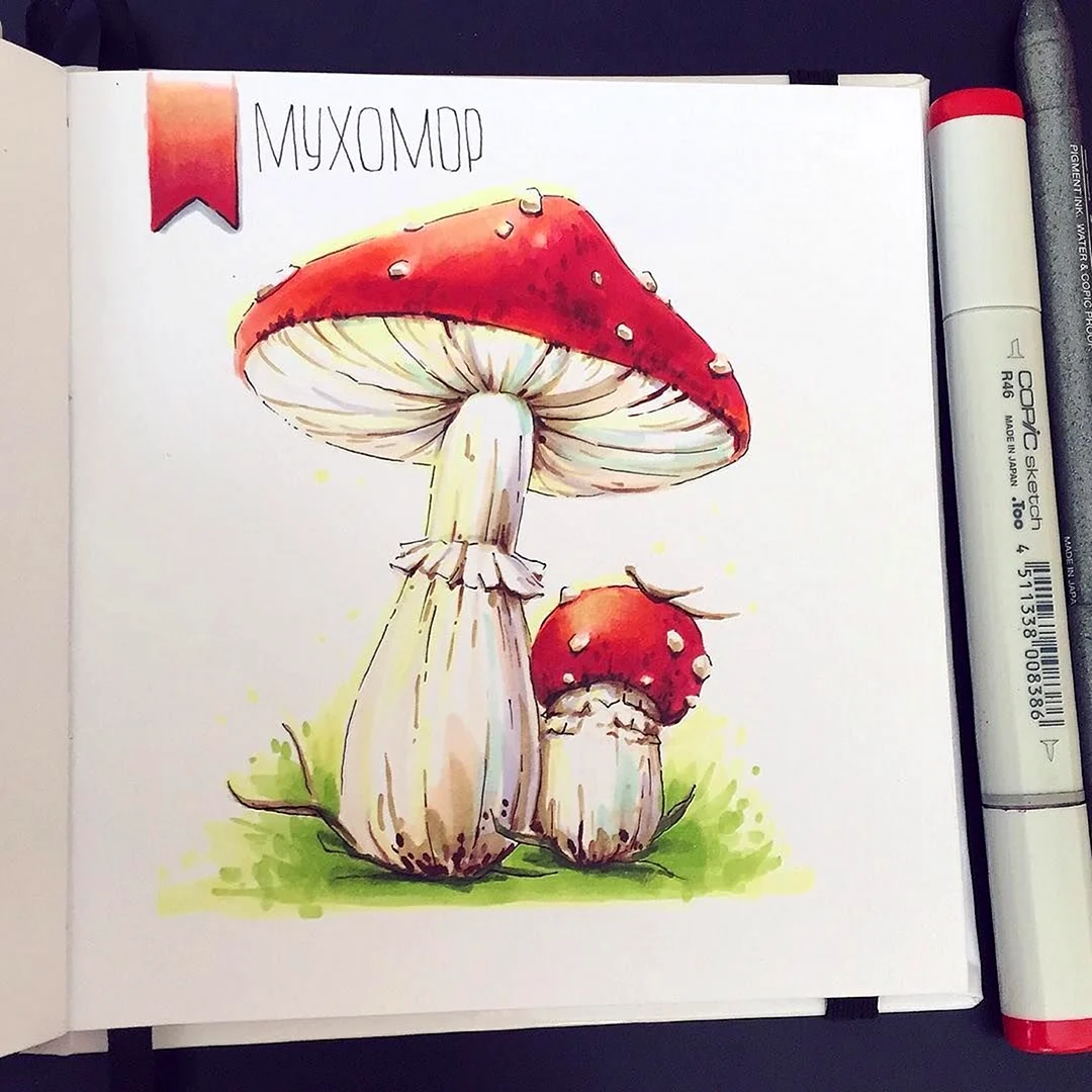 Мухомор скетч маркерами