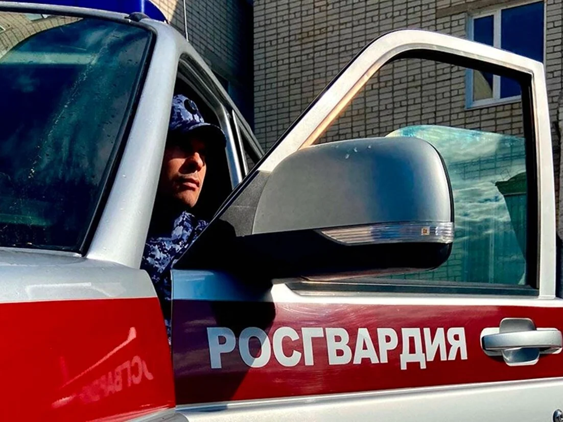 Муляж вневедомственной охраны