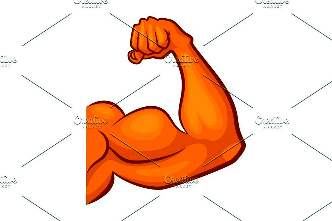 Мускулы мультяшные
