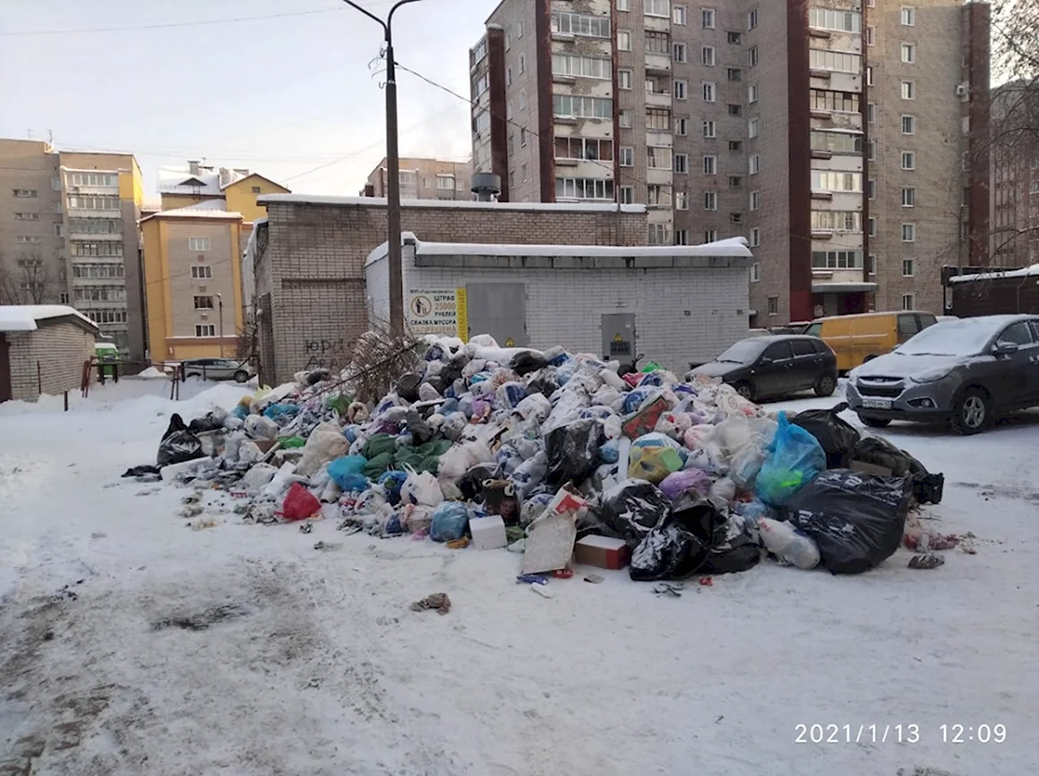 Мусорный коллапс в Санкт