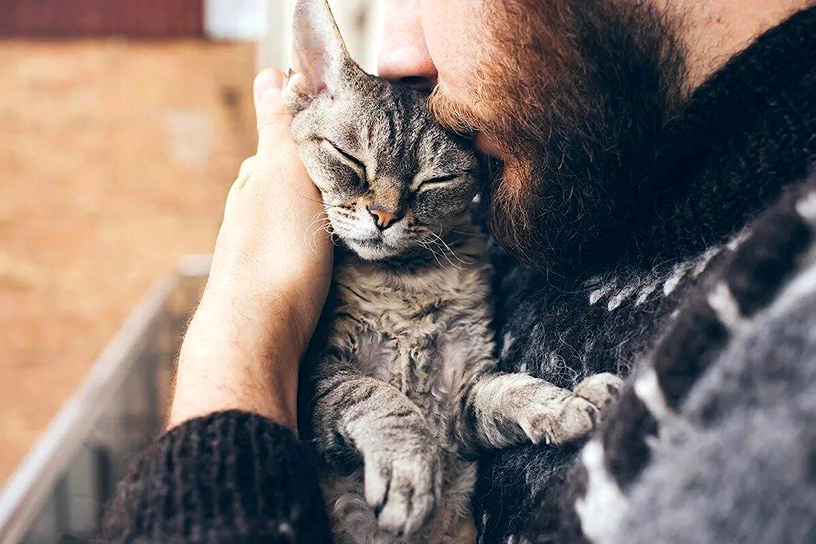 Мужчина обнимает кота