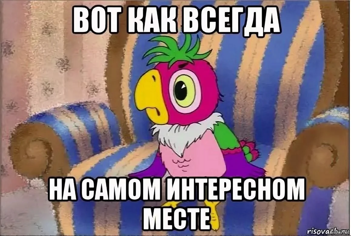 Мужество попугая Кеши мультфильм 2005