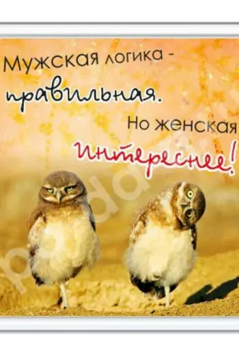 Мужская логика