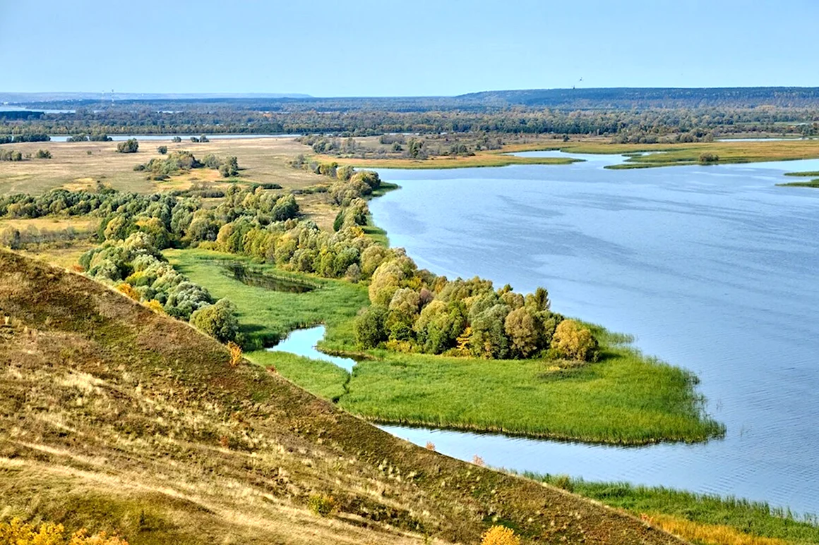 Мыс птичий полет Козловка