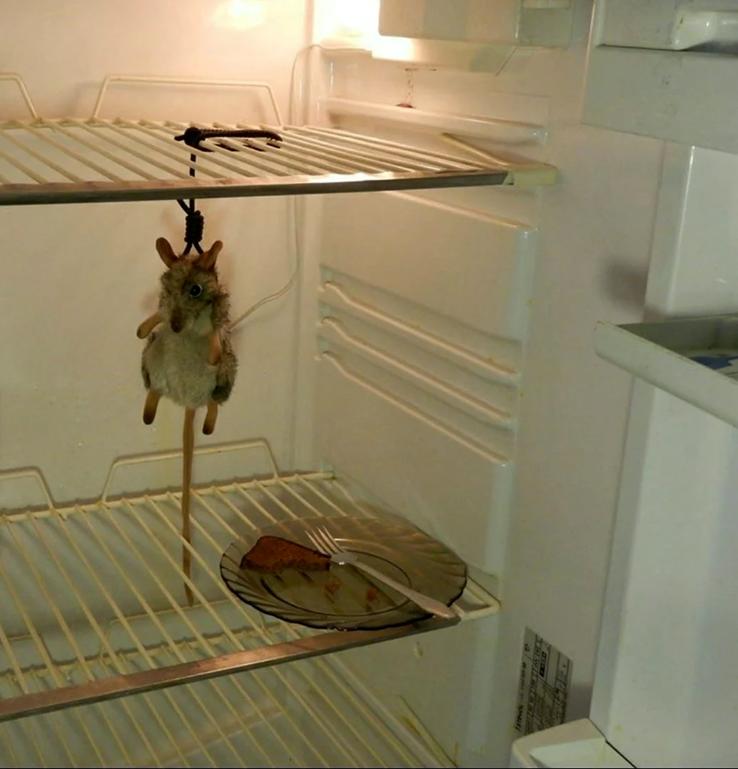 Мышь повесилась