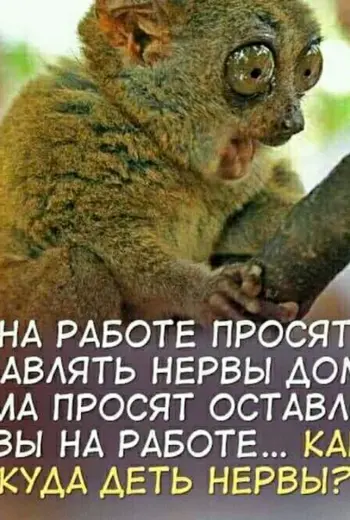 На работе просят оставлять нервы