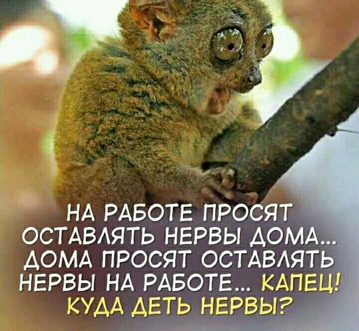 На работе просят оставлять нервы