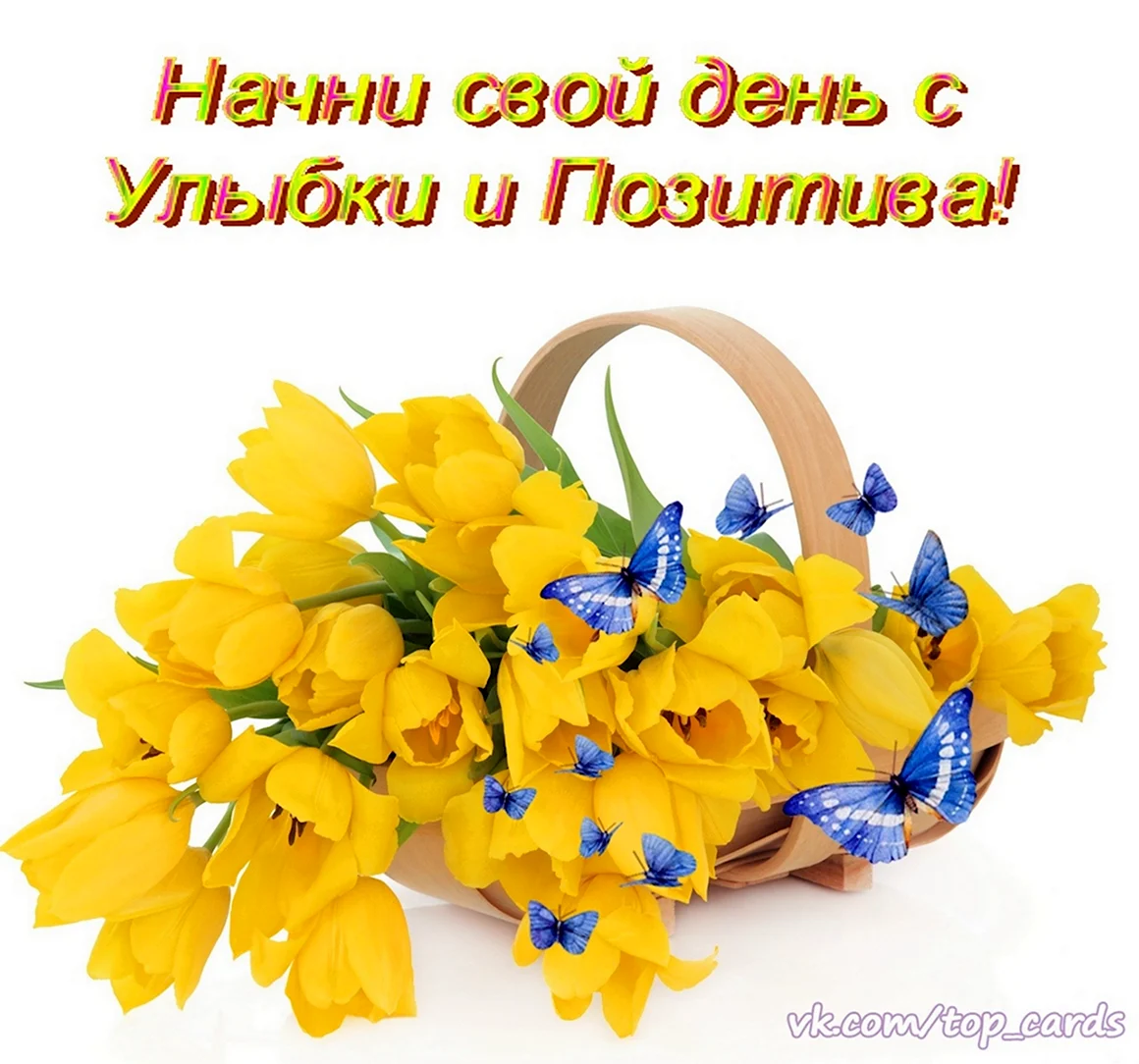 Начинаем день с улыбки