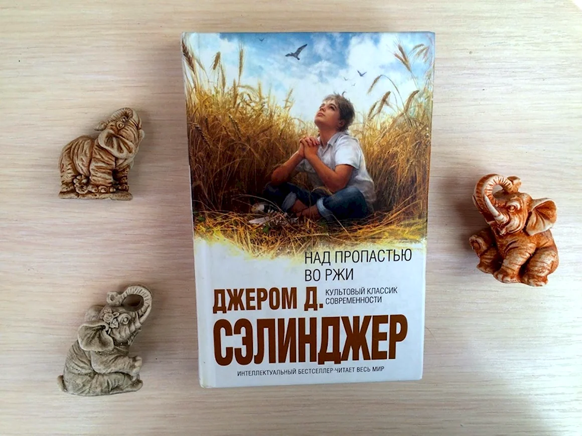Над пропастью во ржи книга
