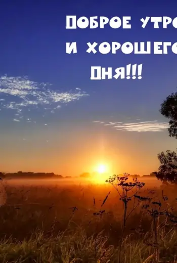 Надпись доброе утро хорошего дня