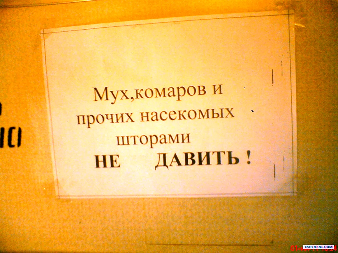 Надписи в маршрутках прикольные