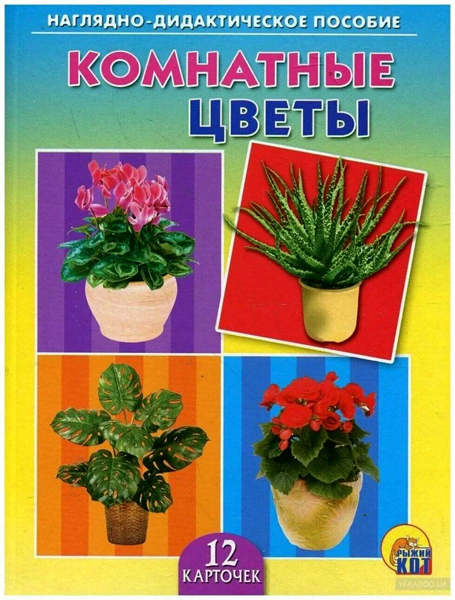 Наглядно дидактическое пособие комнатные цветы