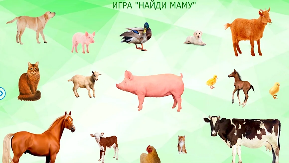 Найди маму домашние животные
