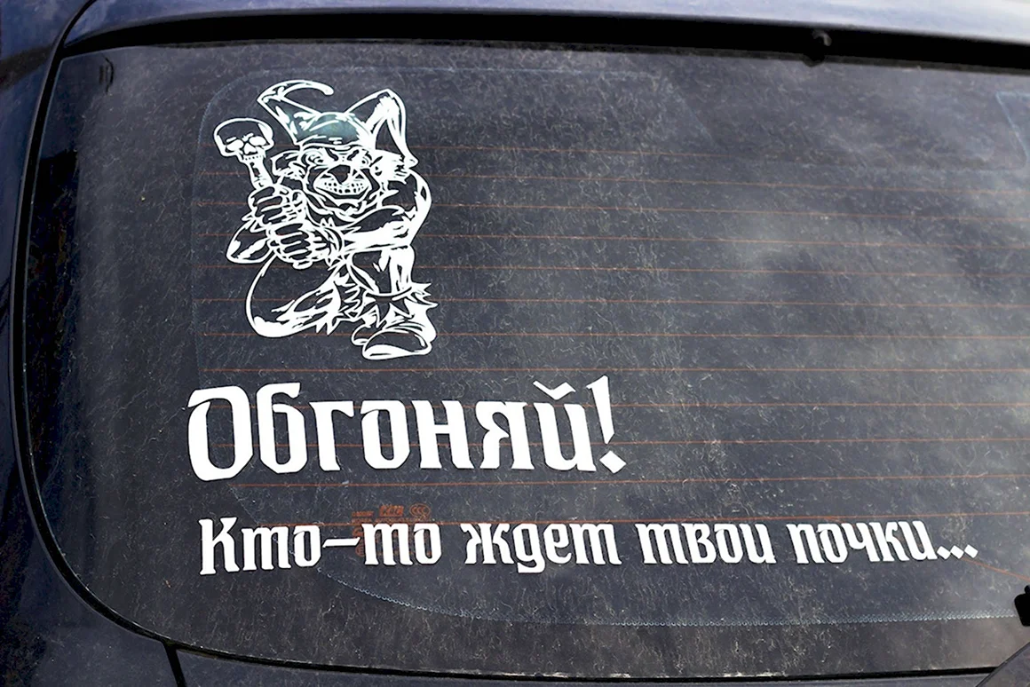Наклейки на заднее стекло автомобиля
