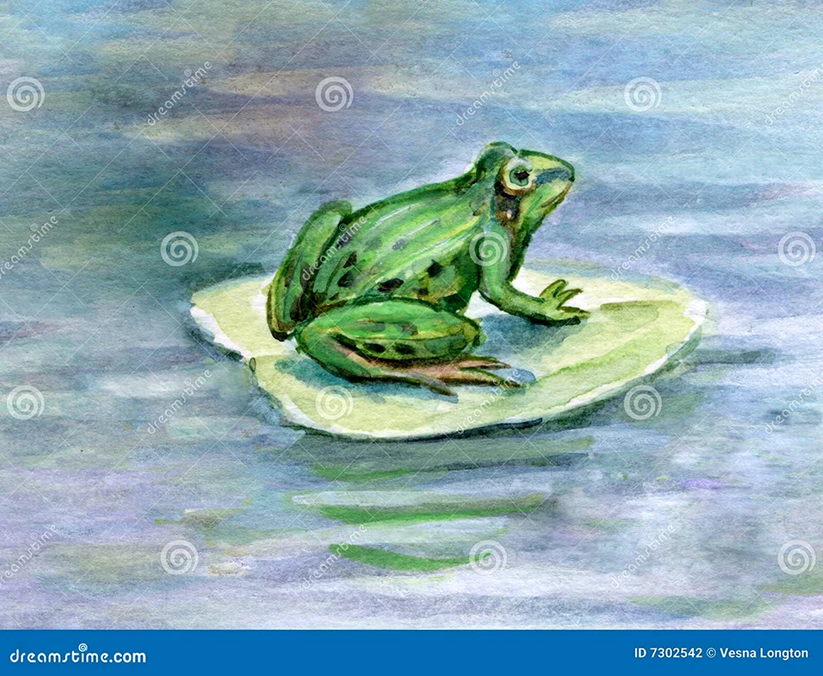Нарисовать лягушку на кувшинке