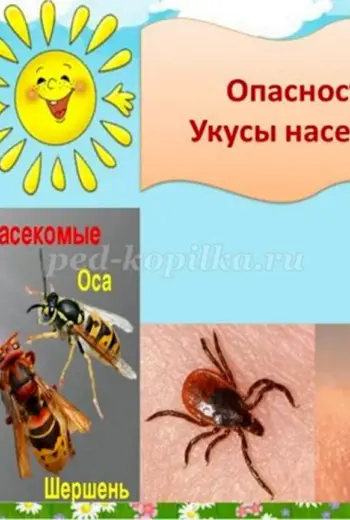 Насекомые летом безопастностьдля детей