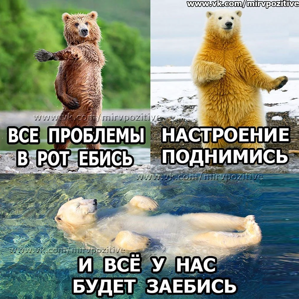 Настроение Поднимись